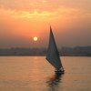 felucca